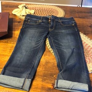 AE artist crop size 12